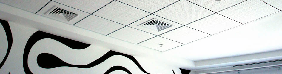 Представляем Вам самые популярные подвесные потолки в ассортименте РДС Строй.