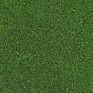 Линолеум IVC Neo Grass 25 (3м) - фото