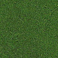 Линолеум IVC Neo Grass 25 (4м) - фото