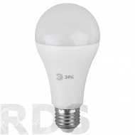 Лампа светодиодная ЭРА A60, 11Вт, холодный свет, E27 - фото