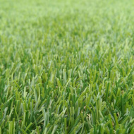 Трава искусственная Деко 35 (2м) - фото 2