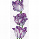 Панель ПВХ Тюльпаны 250х2700х8 мм Грин Лайн - фото