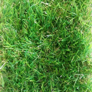 Искусственная трава Tropicana 35, 2м - фото