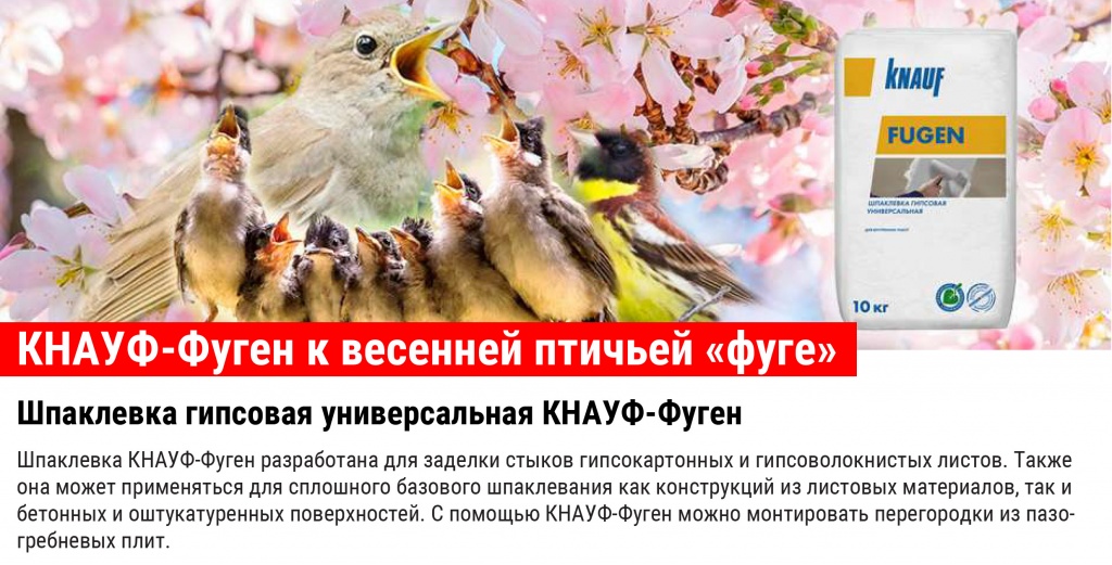 Кнауф-Фуген к весенней птичьей "фуге" - фото